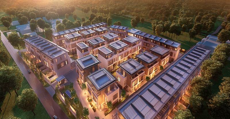 Goyal Alanoville Goyal Alanoville